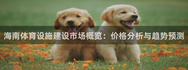 意昂体育4招商电话是多少啊：海南体育设施建设市场概览