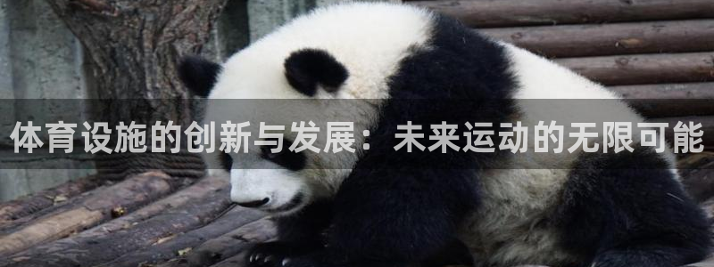 意昂体育4平台：体育设施的创新与发展：未来运动的无限