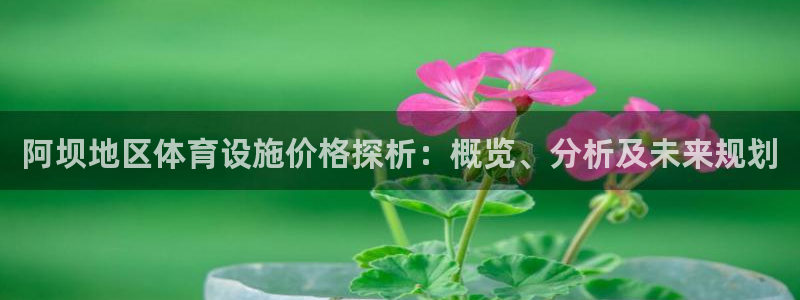 意昂4五金厂：阿坝地区体育设施价格探析：概览、分析及