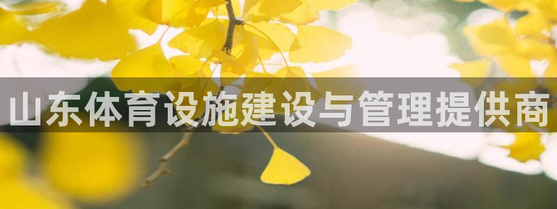 意昂4娱乐是那个系列的台子：山东体育设施建设与管理提