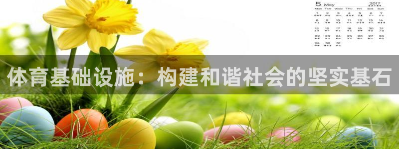 意昂体育4平台是正规平台吗安全吗：体育基础设施：构建