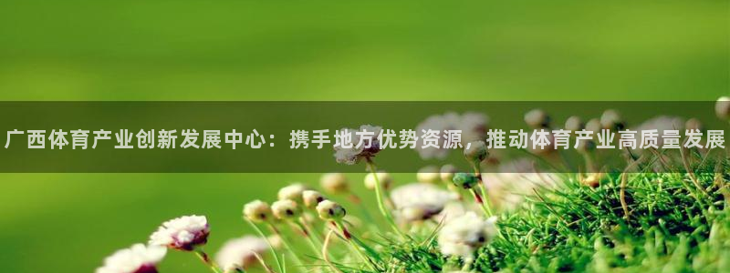 意昂体育4招商电话号码：广西体育产业创新发展中心：携