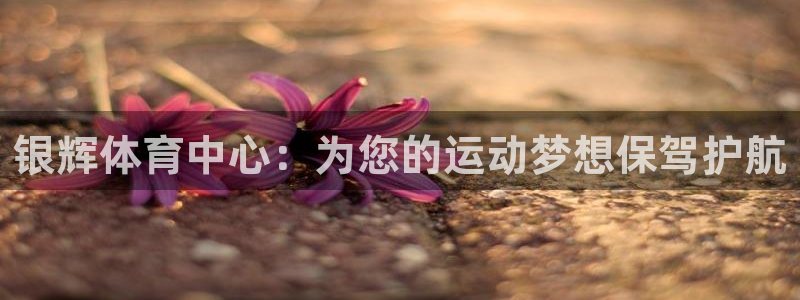 意昂4科技：银辉体育中心：为您的运动梦想保驾护航