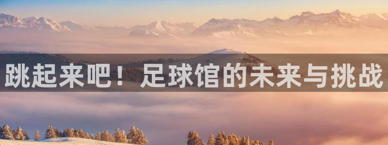 意昂4集团E.ON：跳起来吧！足球馆的未来与挑战