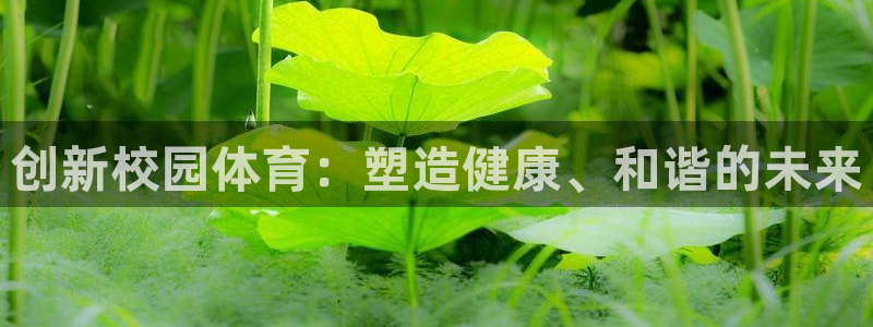 意昂体育4软件：创新校园体育：塑造健康、和谐的未来