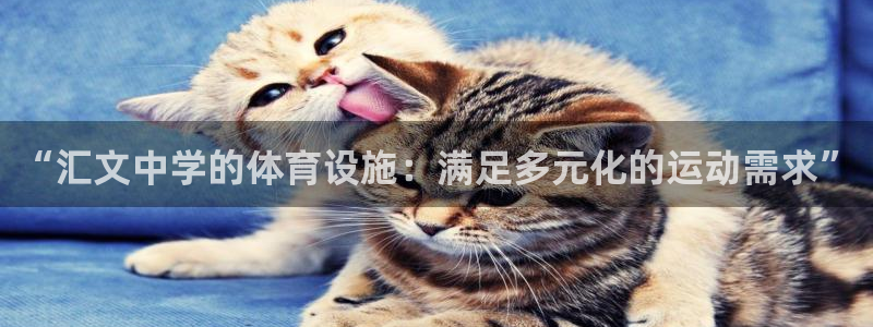 意昂体育4招商电话号码查询是多少：“汇文中学的体育设施：满足
