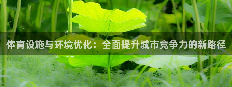 意昂4娱乐下载：体育设施与环境优化：全面提升城市竞争力的新路